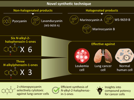 Killing cancer naturally: New process to produce compounds with anti-cancer properties