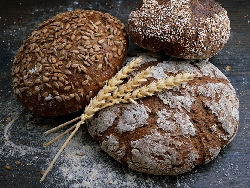 Gesunder Begleiter im Lockdown - Brot mit Sauerteig backen