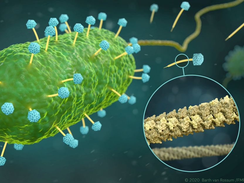 Light shed on the atomic resolution structure of phage DNA tube - A methodological milestone