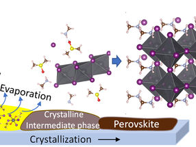 Perovskite Solar Cells: paving the way for rational ink design for industrial-scale manufacturing