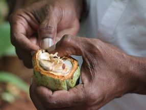 Kakao-Barometer 2020