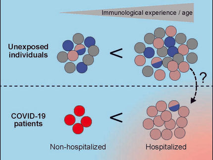 COVID-19: Kontakt mit Erkältungsviren bietet offenbar keinen Schutz