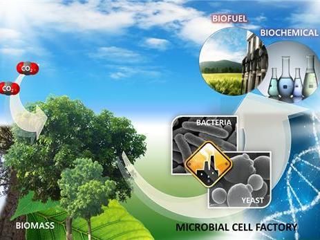 Korea Institue of Science and Technology (KIST)