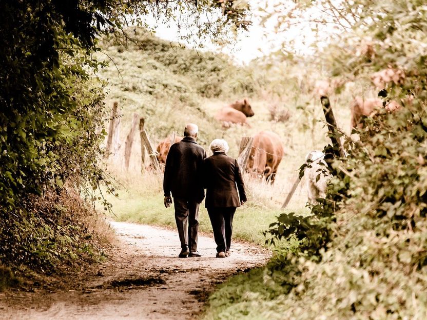 Alzheimer erkennen noch bevor Symptome auftreten - Neue Tests identifizieren sehr frühe Veränderungen der Alzheimer-Krankheit