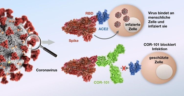 CORAT Therapeutics