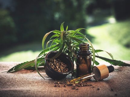 Der Hanf-Hype: Start-ups tasten sich auf Cannabis-Markt vor