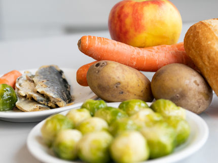 „Lowinfood“ treibt innovative Lösungen voran