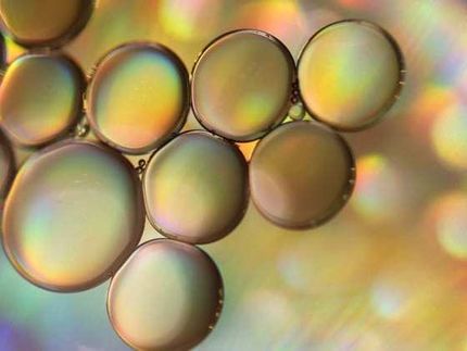 Pequeñas burbujas en los electrodos son la clave para acelerar los procesos químicos