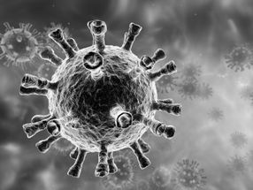 Neue Coronavirus-Variante in Großbritannien wirft Immun-Fragen auf