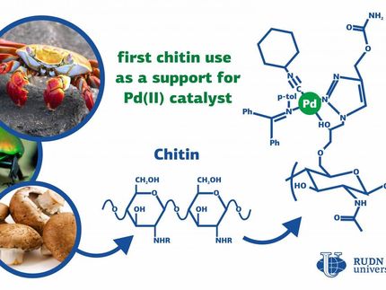 Chemiker nutzen Krabbenschalen zur Verbesserung von Palladium-Katalysatoren
