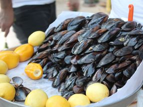 If you eat mussels, you eat microplastics