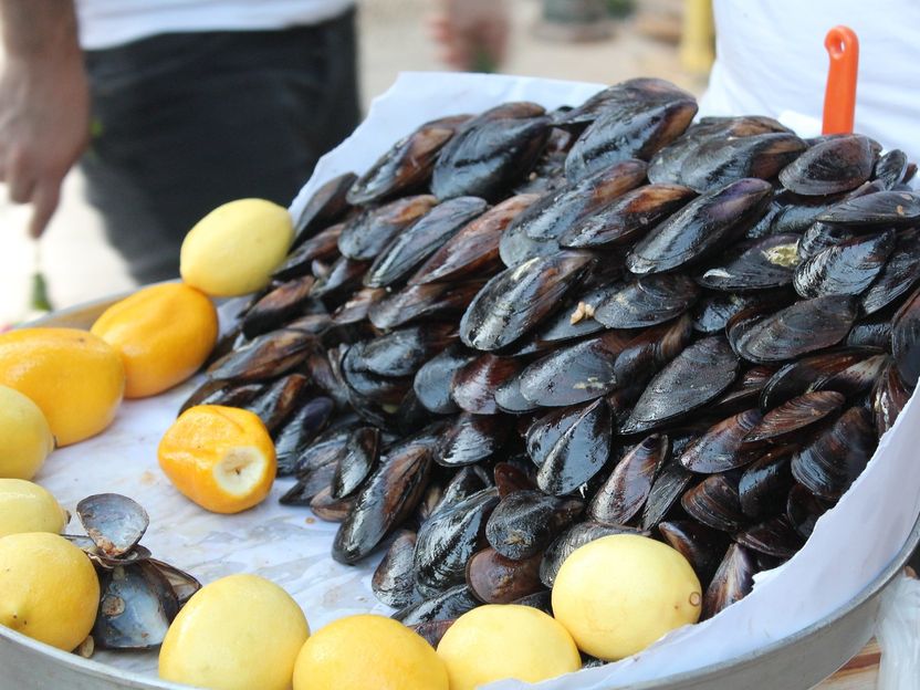 If you eat mussels, you eat microplastics - Bayreuth study: the most consumed species of mussels contain microplastics all around the world