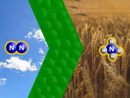 Mit Bor und Bier Stickstoff reduziert