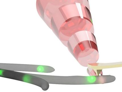 Das Protein-Mikroskop