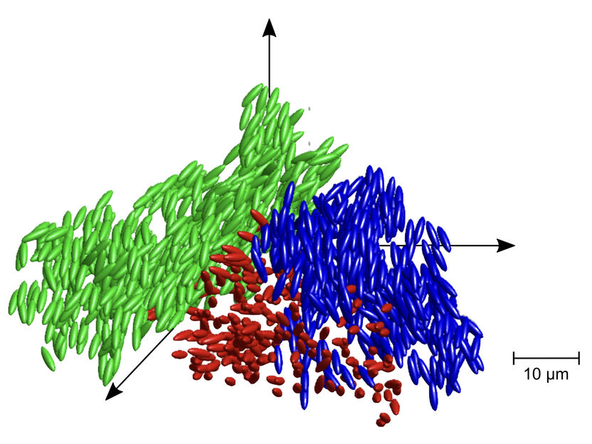 Neither liquid nor solid - Discovery of liquid glass sheds light on the old scientific problem of the glass transition