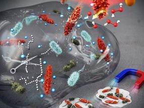 Nanokristalle löschen Biofilm von Bakterien aus