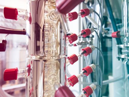 Wie aus Apfeltrester Ethanol gewonnen werden kann