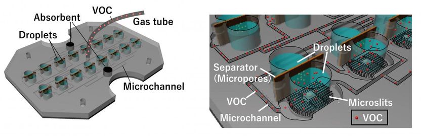 © 2020 AAAS/Takeuchi et al.