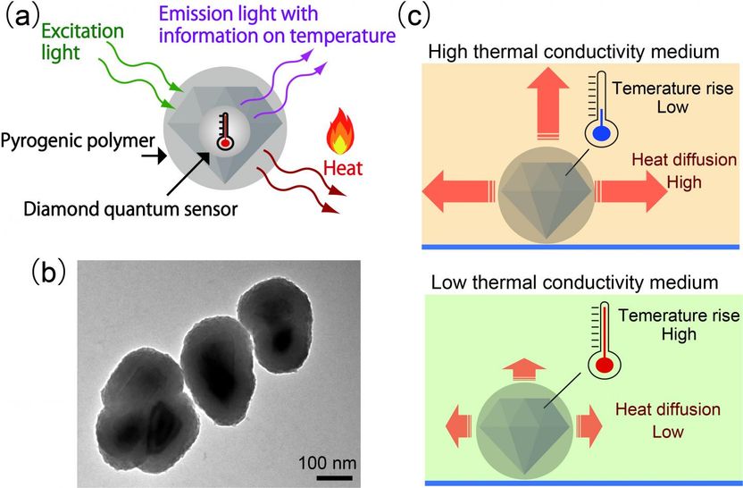 Nanodiamonds feel the heat - Nanodiamond sensor can act as both heat sources and thermometers, and may lead to a new set of heat-based treatments for killing bacteria or cancer cells