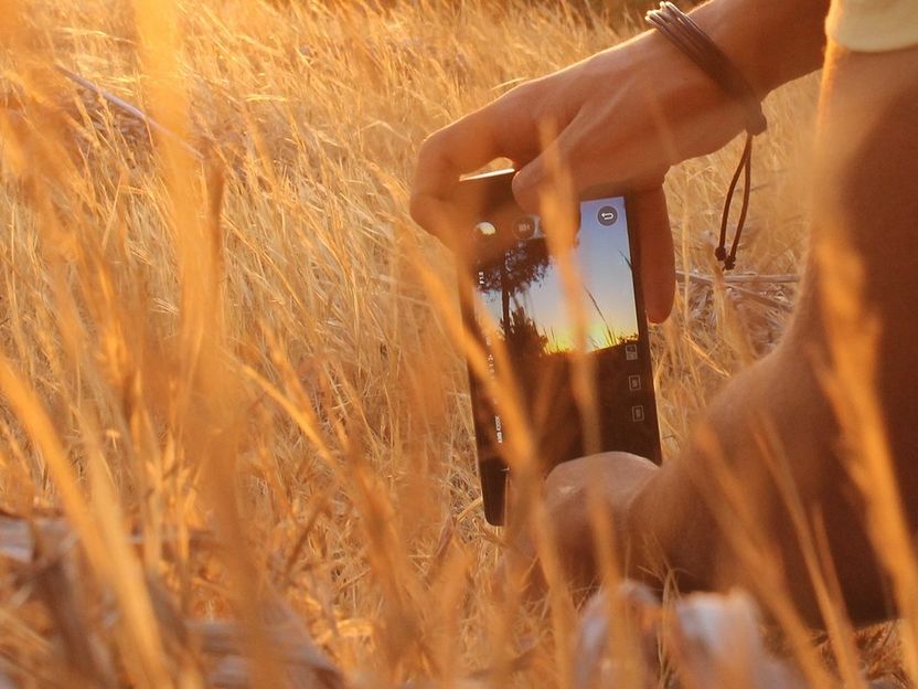 Mobile App gegen «Food Waste» - "Your Virtual Cold-Chain Assistant" soll Kleinbauern den Zugang zu nachhaltigen Kühleinrichtungen, Fachwissen vor und nach der Ernte sowie Marktinformationen ermöglichen