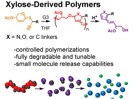 Abbaubare Polymere auf Zuckerbasis als Speicher für nützliche Frachtmoleküle - Möglichkeiten für chemisches Kunststoffrecycling