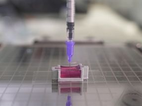 Neuartige Tinte zum 3D-Druck von "Knochen" mit lebenden Zellen