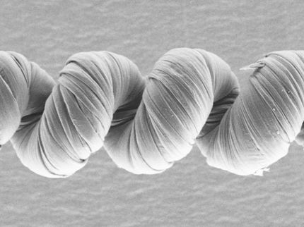 In a study posted online Jan. 28 in the journal Science, University of Texas at Dallas researchers and their colleagues describe creating powerful, unipolar electrochemical yarn muscles that contract more when driven faster. This scanning electron microscope image shows a coiled unipolar muscle made from carbon nanotubes and coated with poly(sodium 4-styrenesulfonate). The outer coil diameter is approximately 140 microns, about twice that of a human hair.