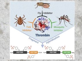 Biobasierter Thrombosewirkstoff