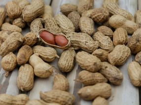 First Danish estimates for the burden of disease for peanut allergy