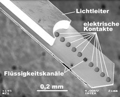 IMTEK/University of Freiburg