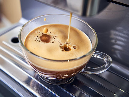 Regelmässiger Koffeinkonsum verändert Hirnstrukturen