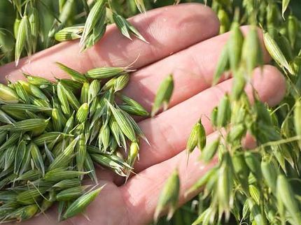 Nestlé and ETH Zurich establish research program to reduce carbon footprint of agricultural raw materials