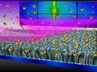 Researchers watch nanomaterials growing in real time