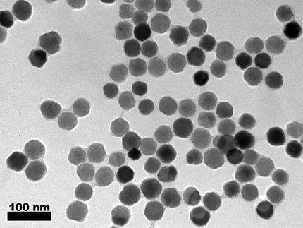 Neuartige Helfer für die Biomedizin: Magnetische Nanopartikel aus Bakterien