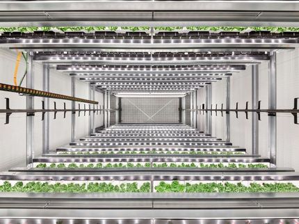 Infarm - Indoor Urban Farming