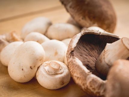 First dietary modeling analysis of all three USDA Food Patterns investigates the effects of adding a serving of mushrooms