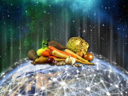 Potenziale der Blockchain für die Bio-Lebensmittelbranche