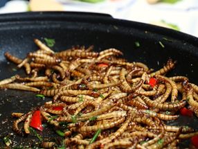 Insektenhaltige Lebensmittel brauchen mehr Kennzeichnung