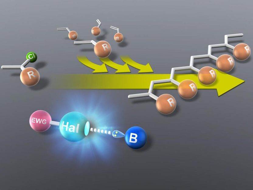 Photo courtesy: Dr. Koji Takagi of Nagoya Institute of Technology