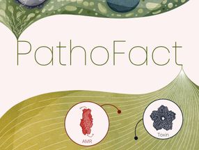 PathoFact identifies pathogens faster and more accurately