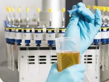 Prüfung einer Olivenölprobe am Nordbayerischen NMR-Zentrum auf dem Campus der Universität Bayreuth.