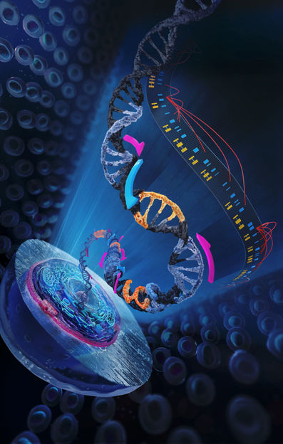 © Tobias Wüstefeld / EMBL