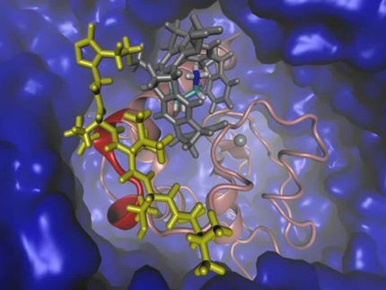 Switching Off the "Survival Protein" for Cancer Cells