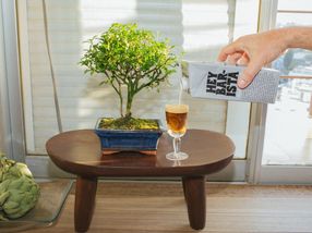 OATLY unveils plans for one of the world's largest plant-based dairy factories