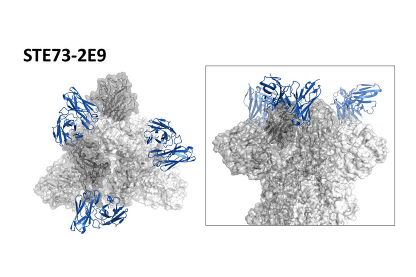 Luca Varani/Istituto di Ricerca in Biomedicina (IRB)