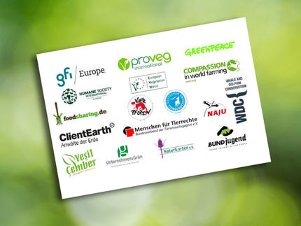 Absurdes Lebensmittelrecht - Zensur für Hafermilch, Sojajoghurt und Co.