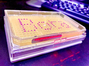 BASF invierte en la nueva empresa de biotecnología Bota Bio
