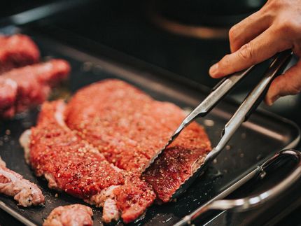 GAIA lanza una primicia científica mundial: un estudio de impacto ambiental sobre la carne cultivada