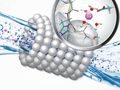 Recycle high-tech waste biologically