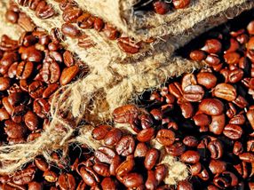 How corporates can reduce robusta coffee sector's carbon footprint